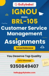 Customer Service Management