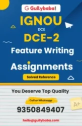 DCE-2 Feature Writing